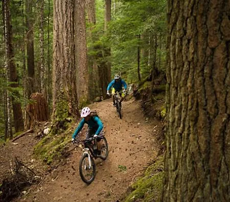 Glamping Zarja, Vipava Valley ベッド・アンド・ブレックファスト