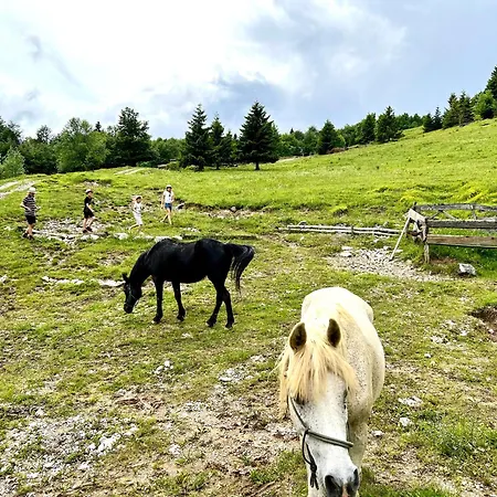 Glamping Zarja, Vipava Valley Сasa de vacaciones