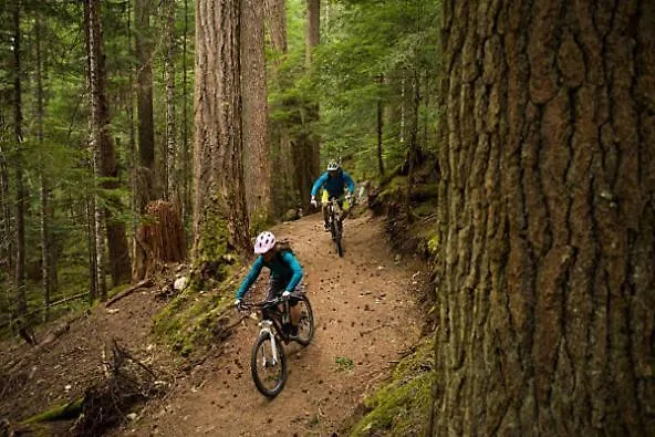 Glamping Zarja, Vipava Valley krevet i doručak